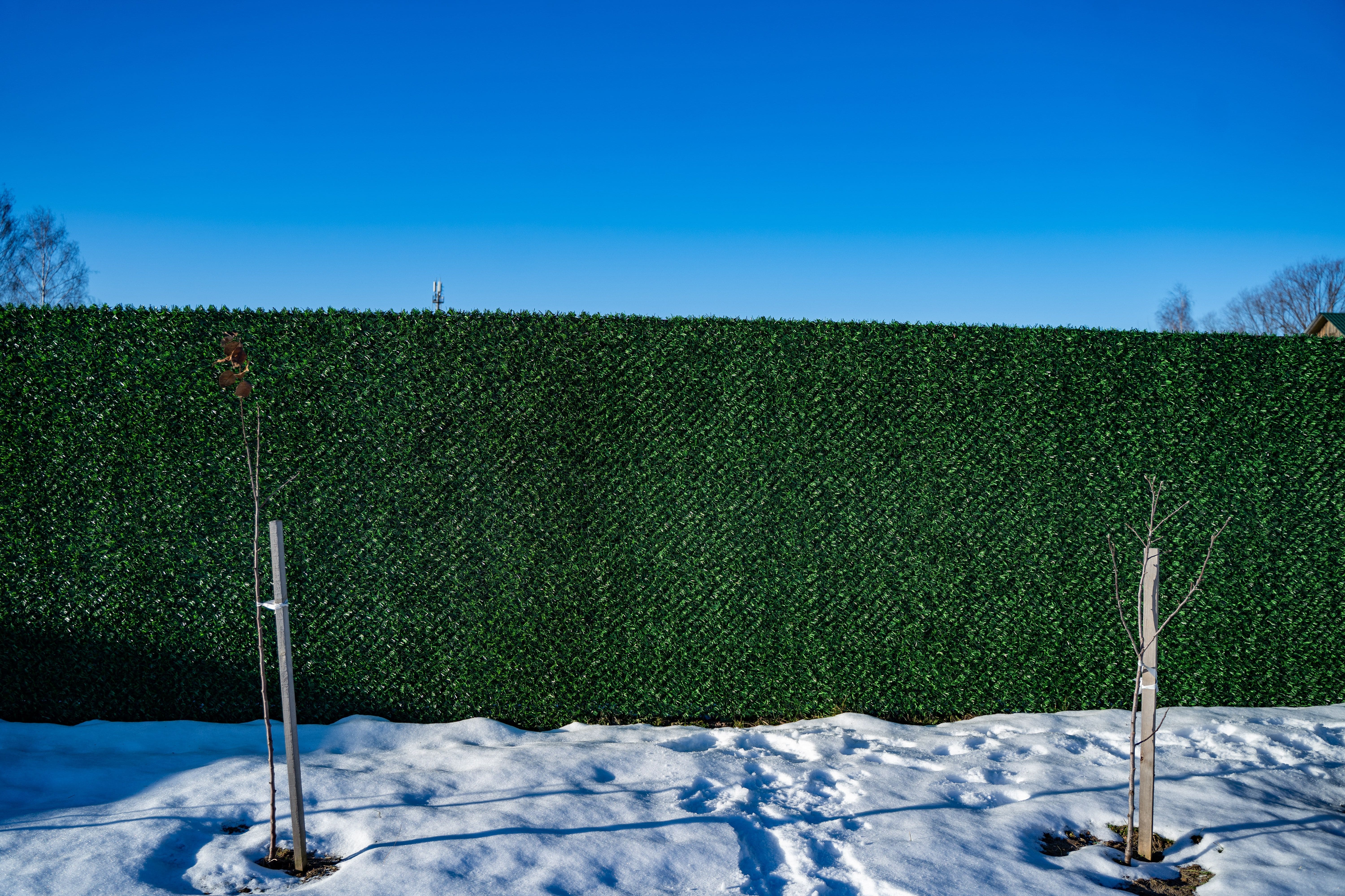Вечнозеленый забор Grass Fence рулон 2м фото 8 в Владимире