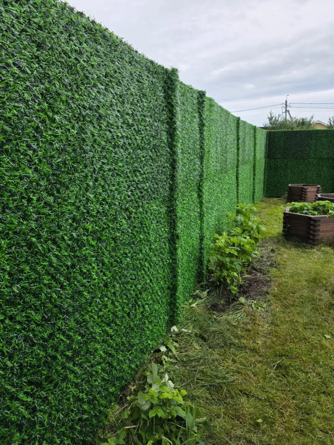 Вечнозеленый забор Grass Fence 37м фото 1 в Владимире